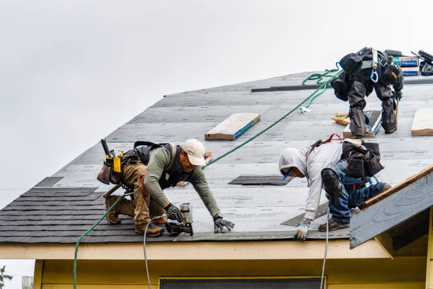 Professional Gutter Installation technician working in Cedar, MN
